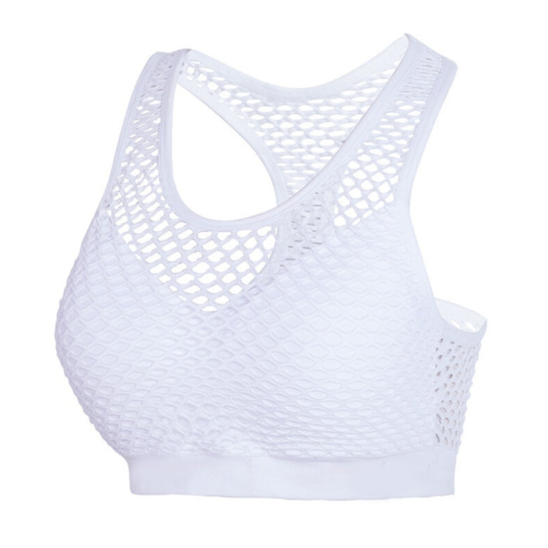 Mesh Sports Bra