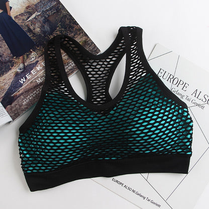 Mesh Sports Bra