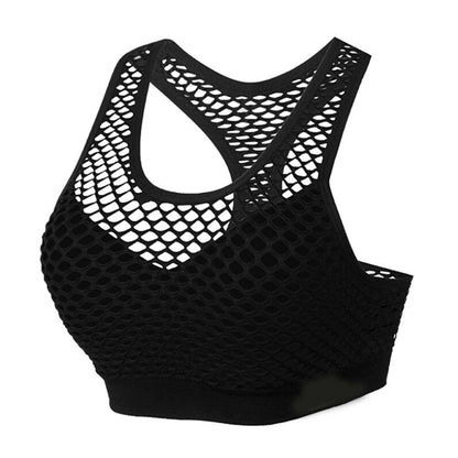 Mesh Sports Bra