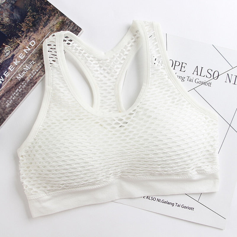 Mesh Sports Bra