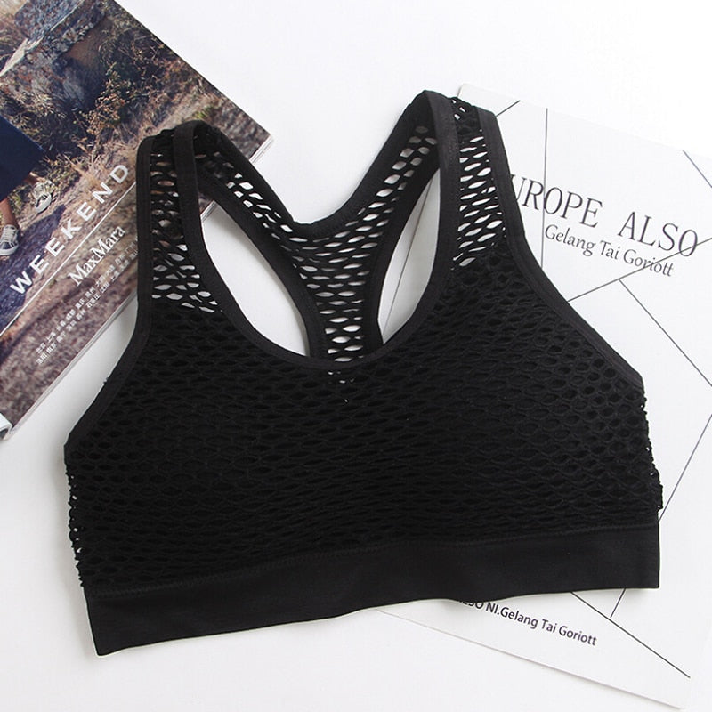 Mesh Sports Bra