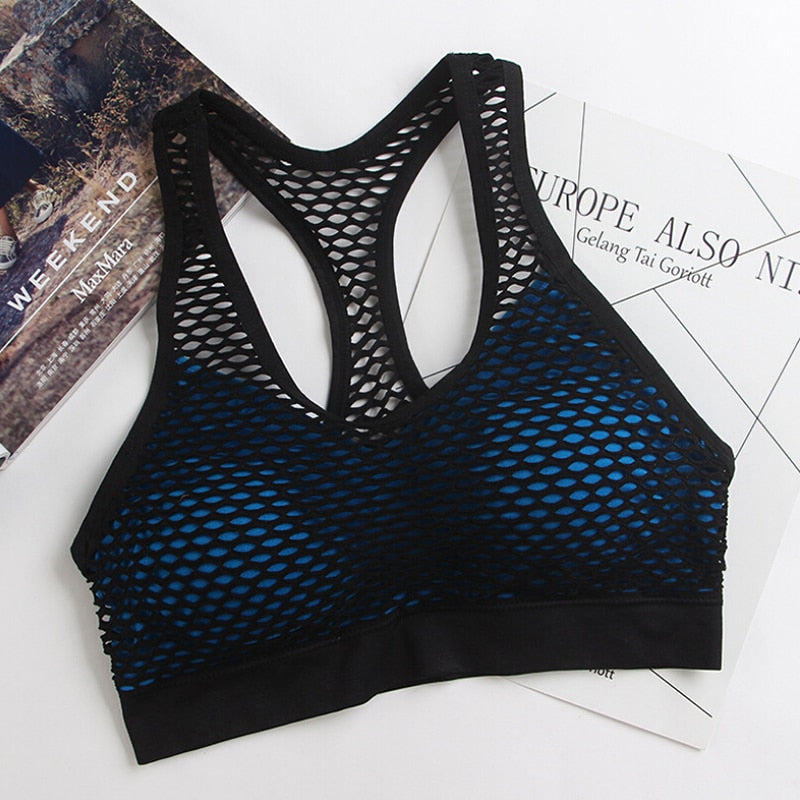 Mesh Sports Bra