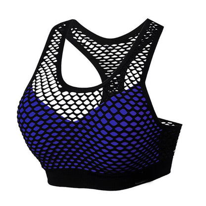 Mesh Sports Bra